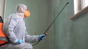 Best Biohazard Mold Removal  in Horizon West, FL